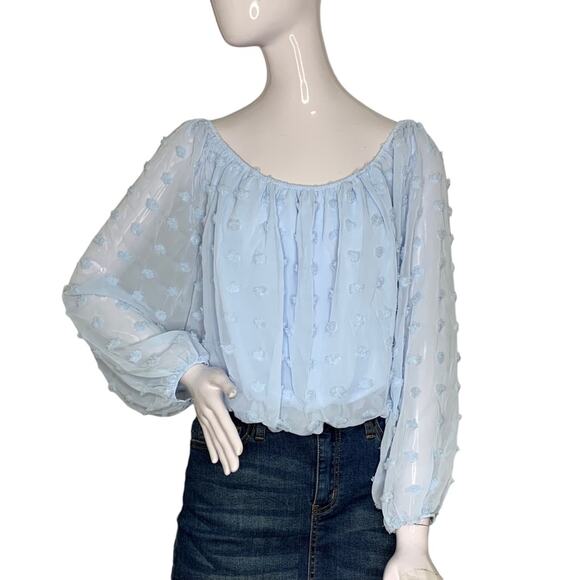 Audrey Parks+Francesca's NWT Blouse Sheer Long Sleeve Light Blue Pullover Size S - Picture 1 of 12